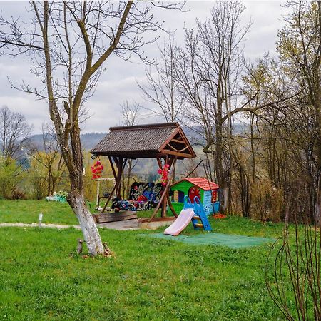 Pensiunea Nituca Moisei Bagian luar foto