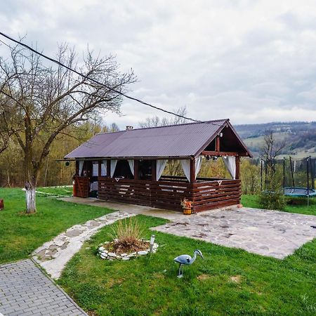 Pensiunea Nituca Moisei Bagian luar foto