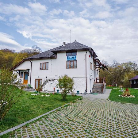 Pensiunea Nituca Moisei Bagian luar foto
