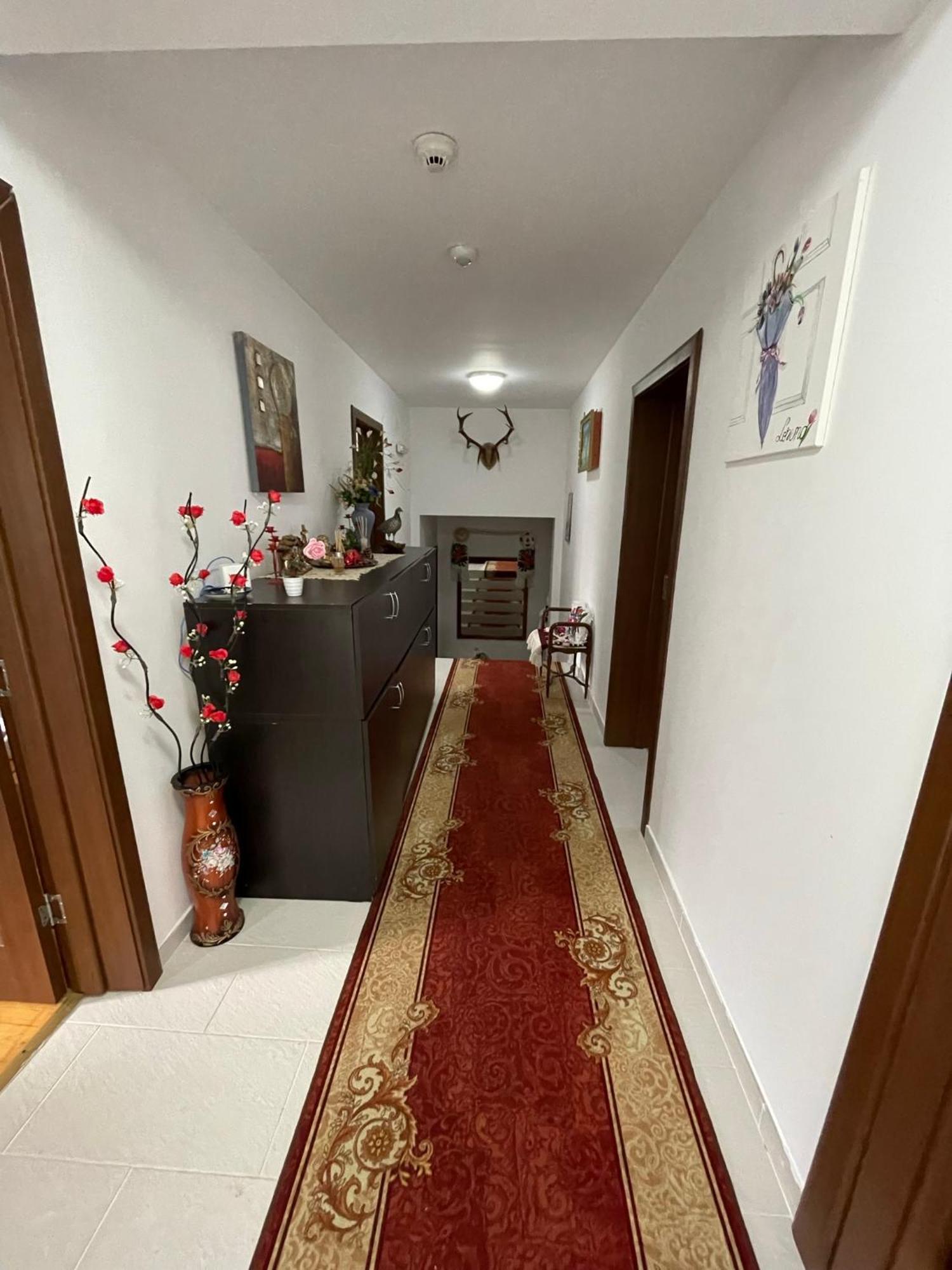 Pensiunea Nituca Moisei Bagian luar foto