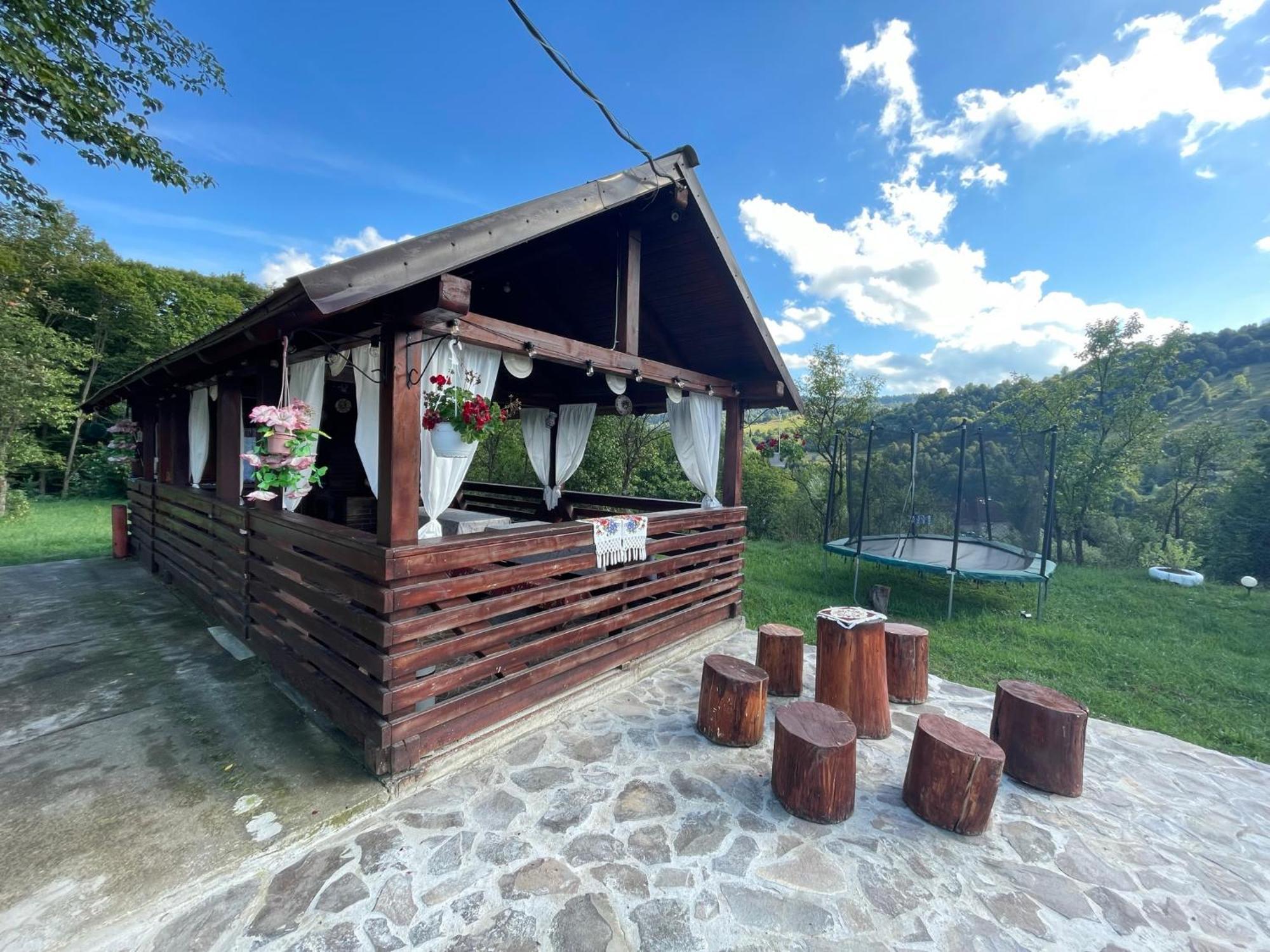 Pensiunea Nituca Moisei Bagian luar foto