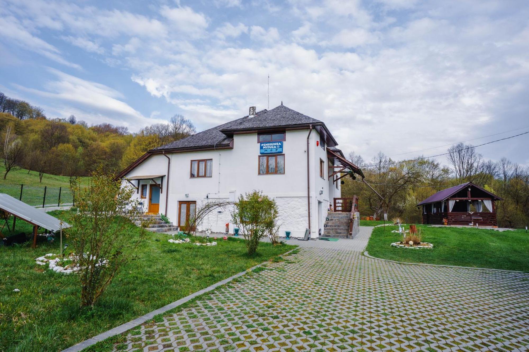 Pensiunea Nituca Moisei Bagian luar foto