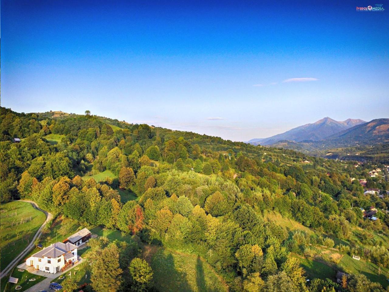 Pensiunea Nituca Moisei Bagian luar foto