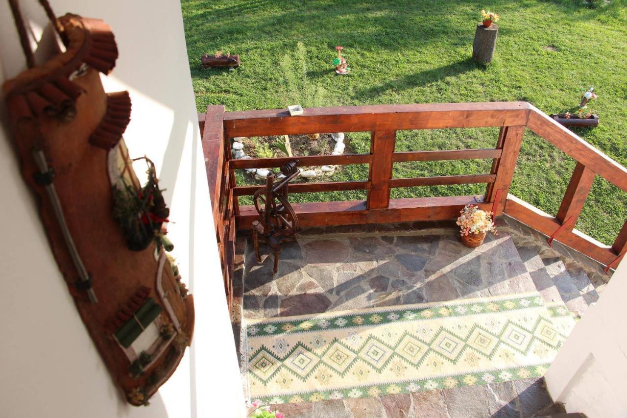 Pensiunea Nituca Moisei Bagian luar foto