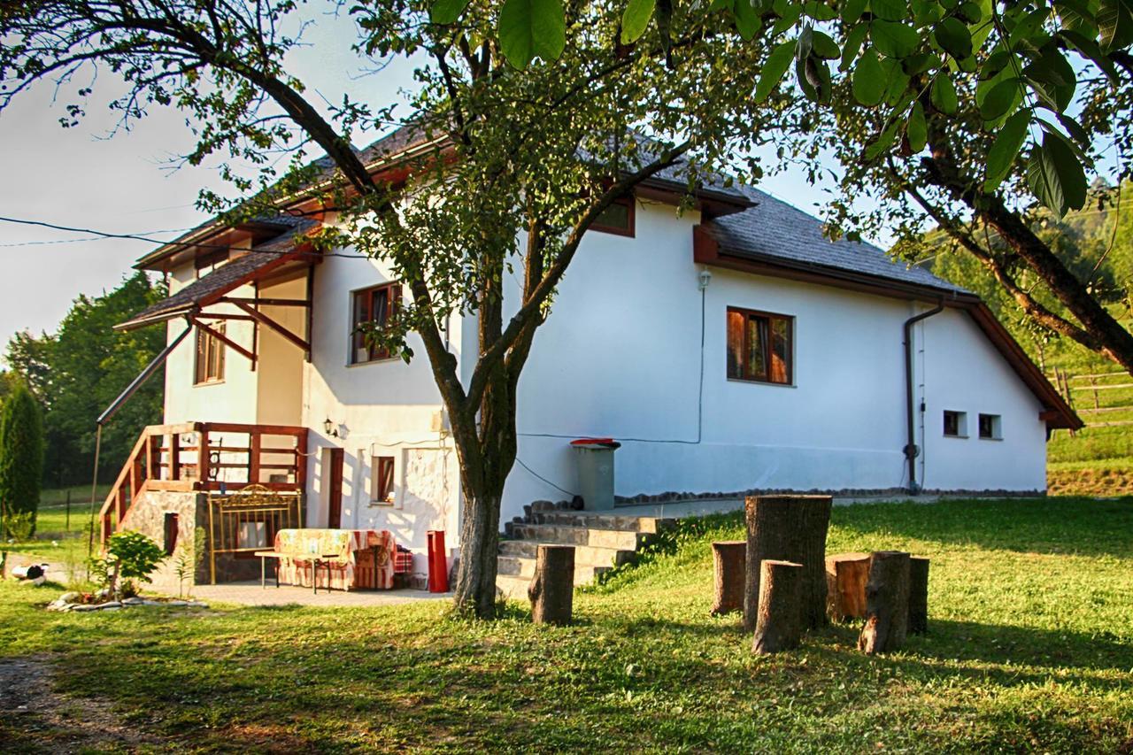 Pensiunea Nituca Moisei Bagian luar foto