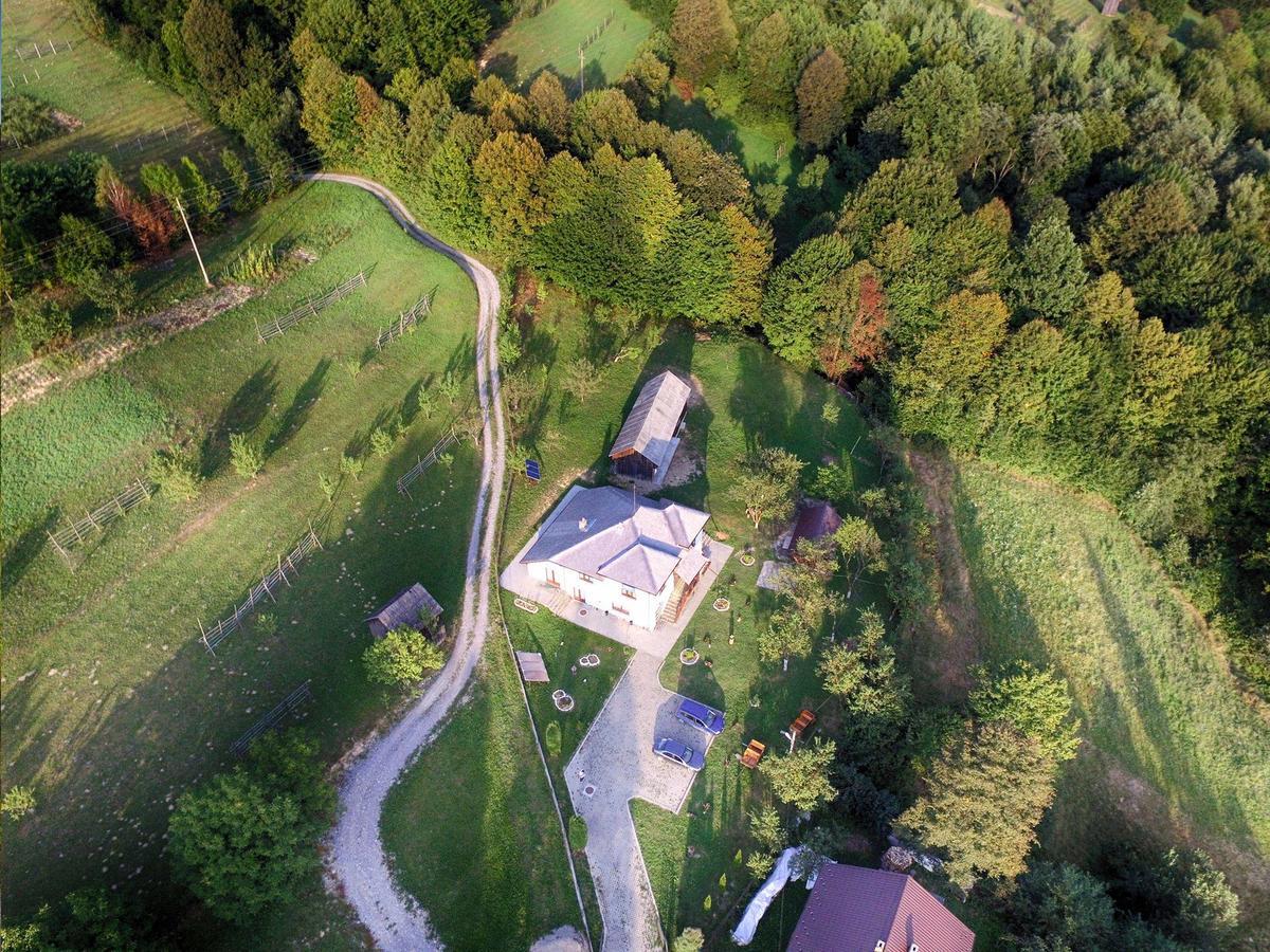 Pensiunea Nituca Moisei Bagian luar foto