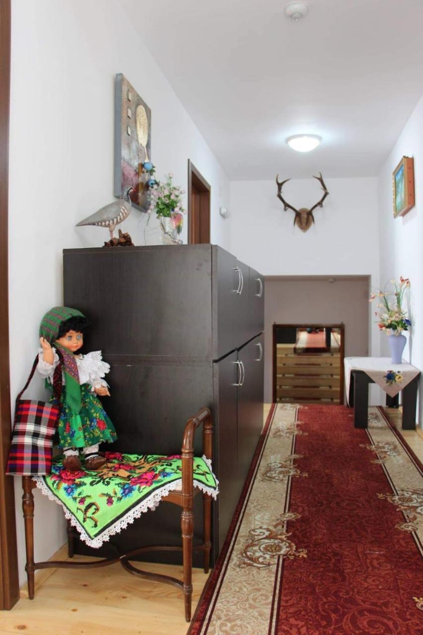 Pensiunea Nituca Moisei Bagian luar foto