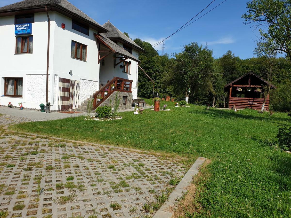 Pensiunea Nituca Moisei Bagian luar foto